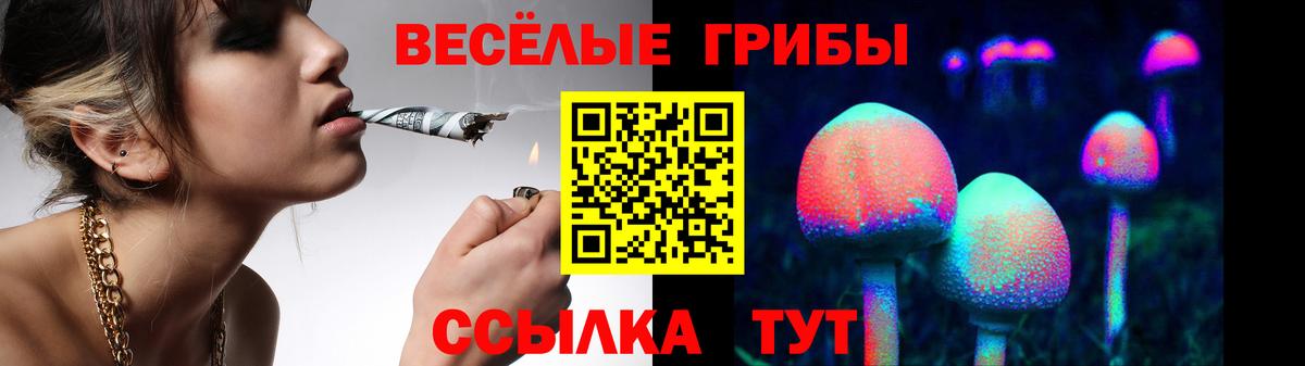 Галлюциногенные грибы прущие грибы  Вход с VPN  Котельники 
